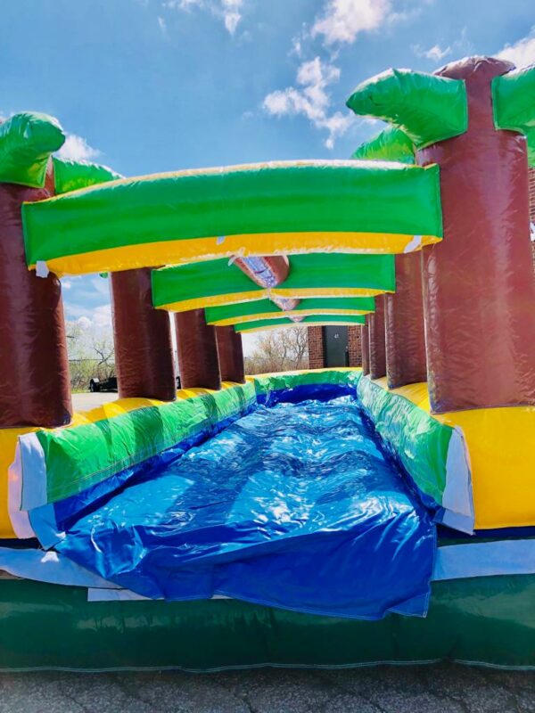 Palm Tree Slip and Slide - Image 5